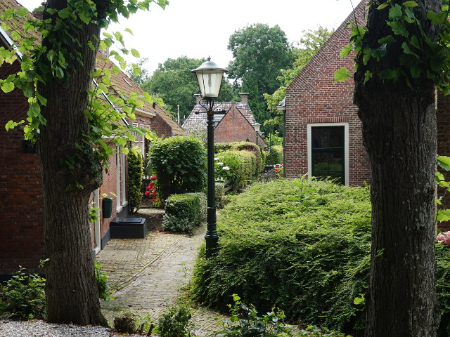 DSC00607metslawier