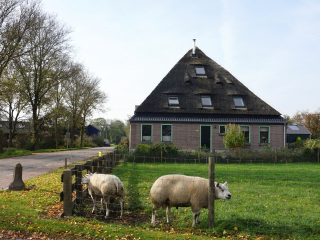 DSC01811grosthuizen