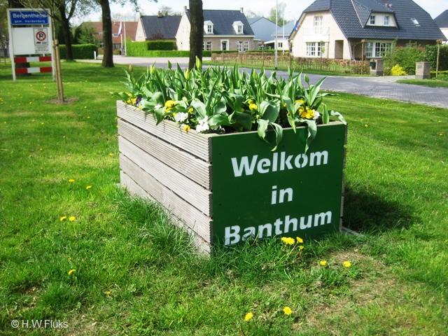 bergentheimbanthum9568