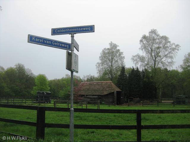 coldenhove9733