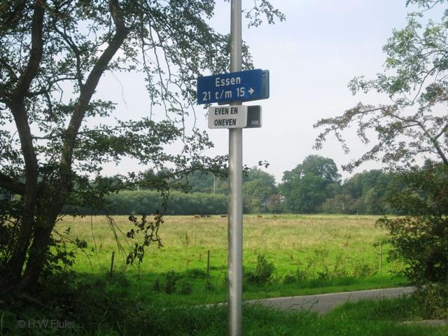 essen5417