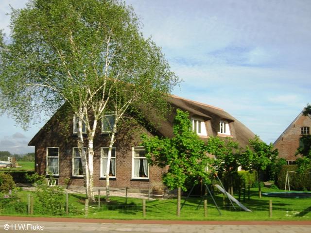 willeskop9951