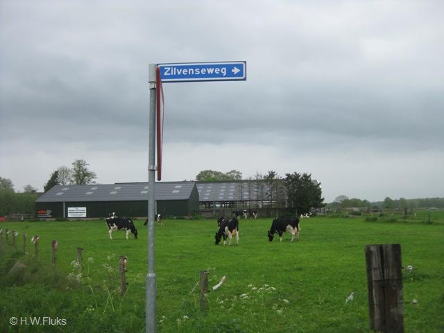 zilvenloenen9736
