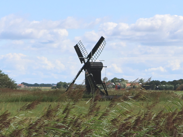 IMG_3898callantsoog_z