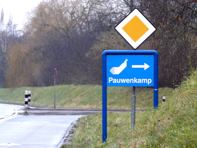 P1130255pauwenkamp