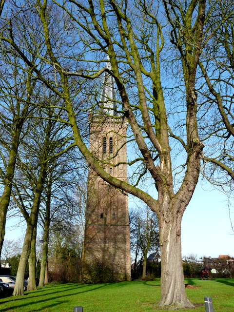 P1210269hem