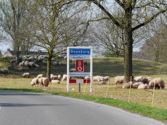 P1310434doesburgschapen_b