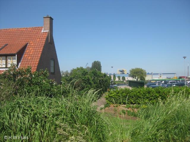 dintelsas0546