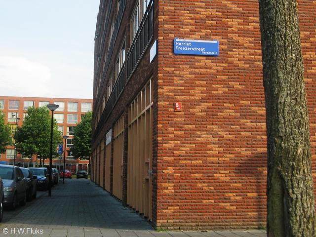 gerenstein1230