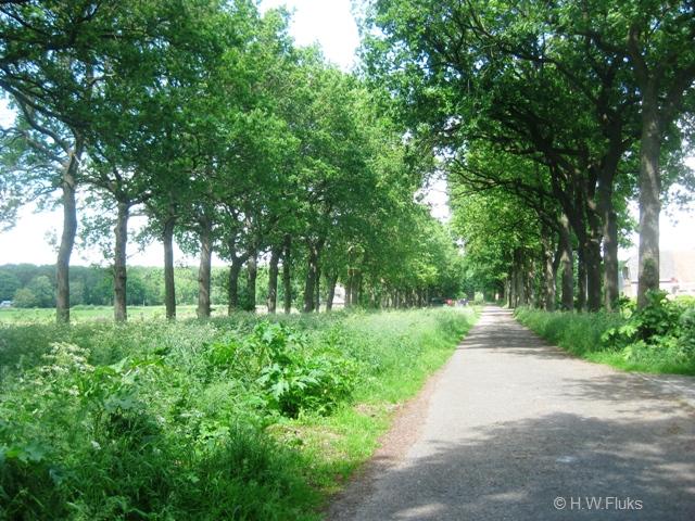 janssenstichting0588