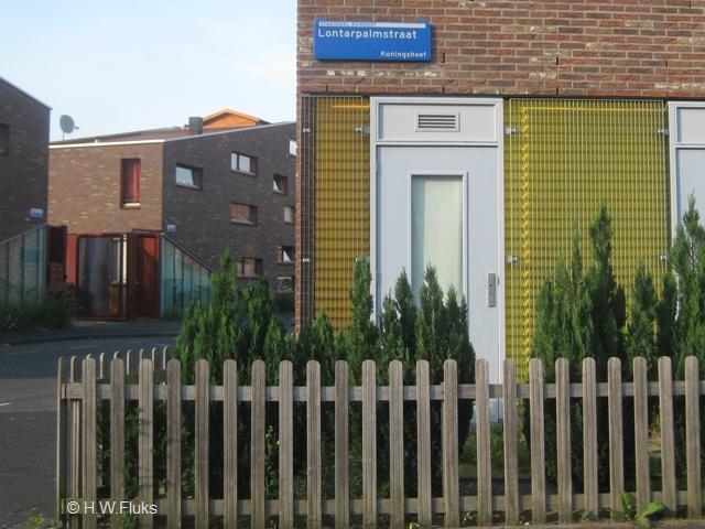 koningshoef1244