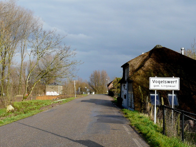 P1210602vogelswerf