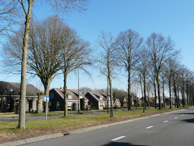 P1210686balkbrug