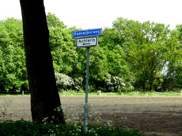 P1240827achterin