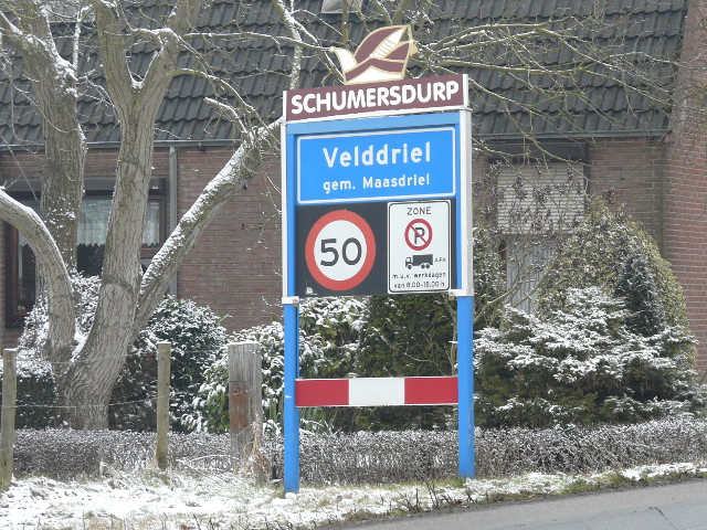 P1300253schumersdurp