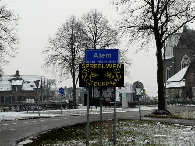 P1300260spreeuwendurp