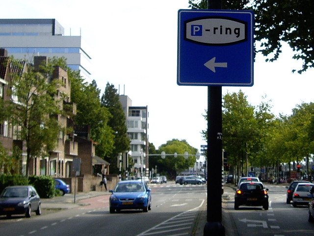 IMGP1828pringdordt