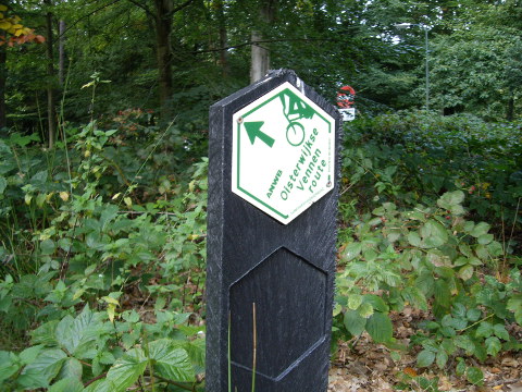 IMGP1857oisterwijkvr