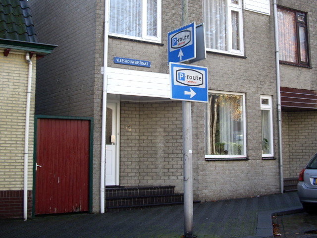 IMGP2389psteenbergen