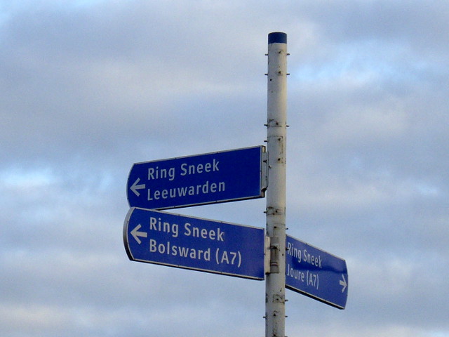 IMGP2750ringsneek3x
