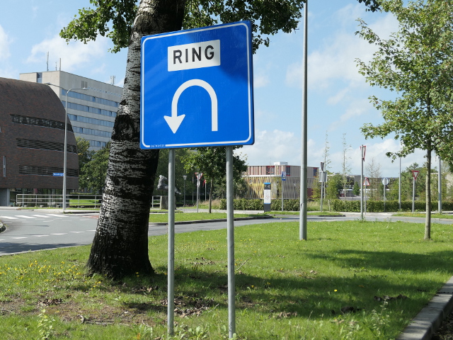 P1100837ringgroningen