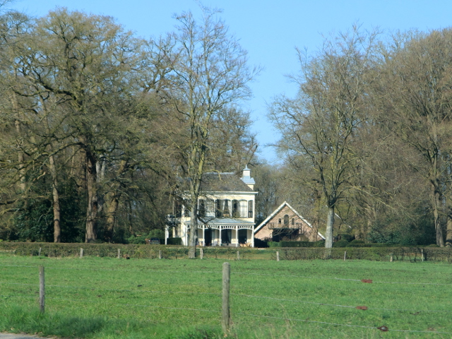 IMG_0561wilpkleinnoordijk_z