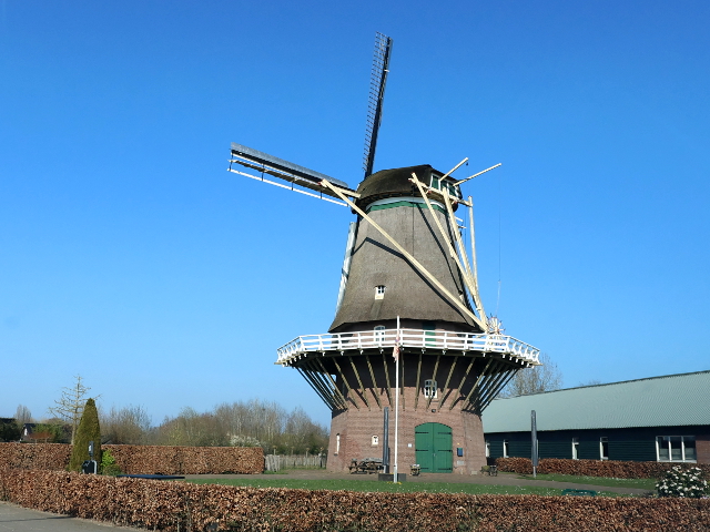 IMG_0588terwoldeooievaar_z