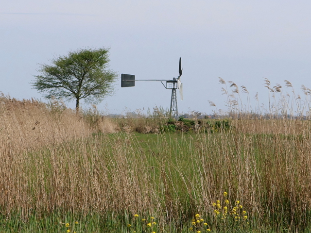 IMG_1379almkerkduijlweg_z