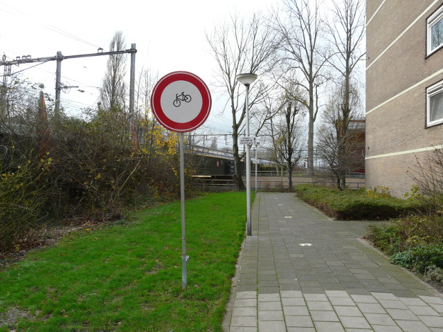P1200950goudafietsjescheef