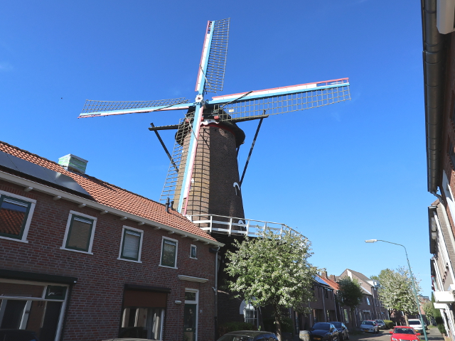 IMG_1683zevenbergen_z