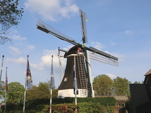 IMG_2116rolde_z