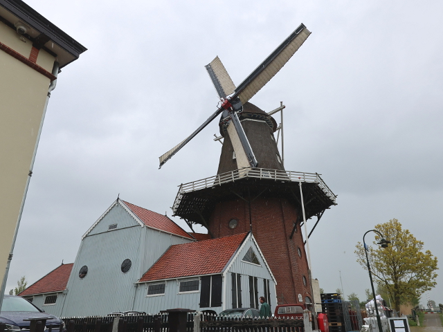 IMG_2686burdaard_z