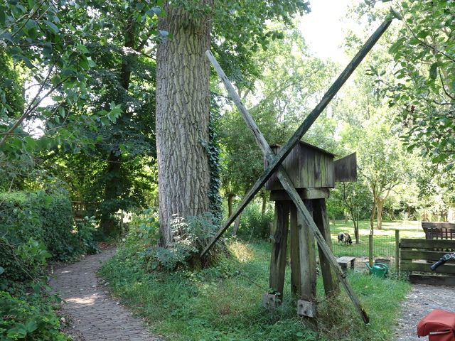 IMG_3928almkerkduylsbos_z