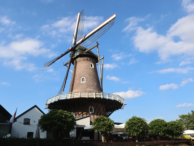IMG_5530nieuwkuijk_z