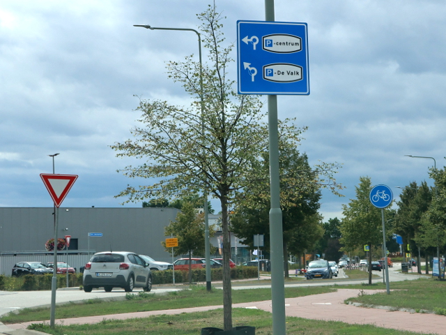 IMG_5550echt_p