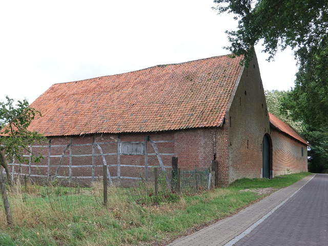 IMG_5713vielwiegelrade