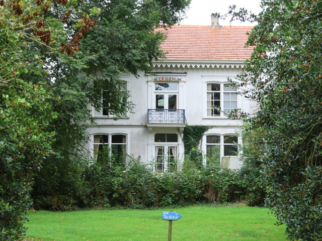 IMG_6002annapaulownaoosterwijk