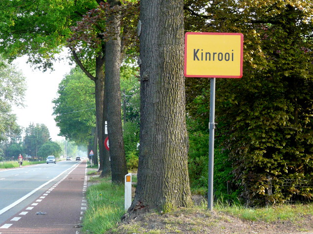 P1050691kinrooi_g