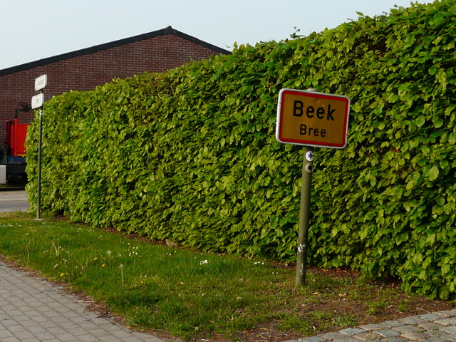 P1050701beek_g