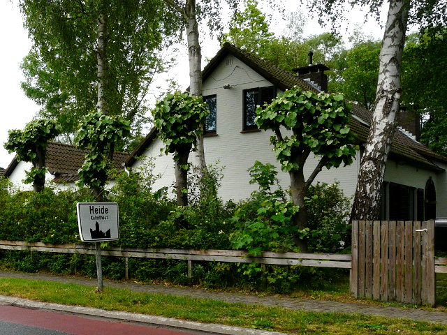 P1050924heidekalmthout_w