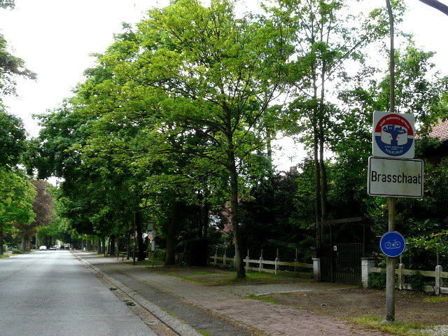 P1050933brasschaat_w