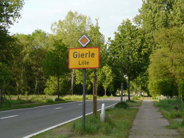 P1060002gierle_g