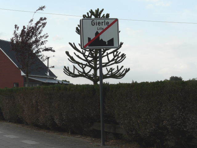 P1060004gierle_e