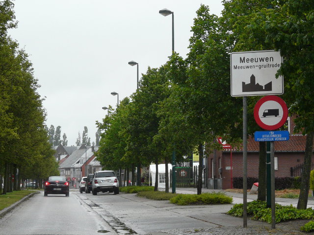 P1060110meeuwen_w