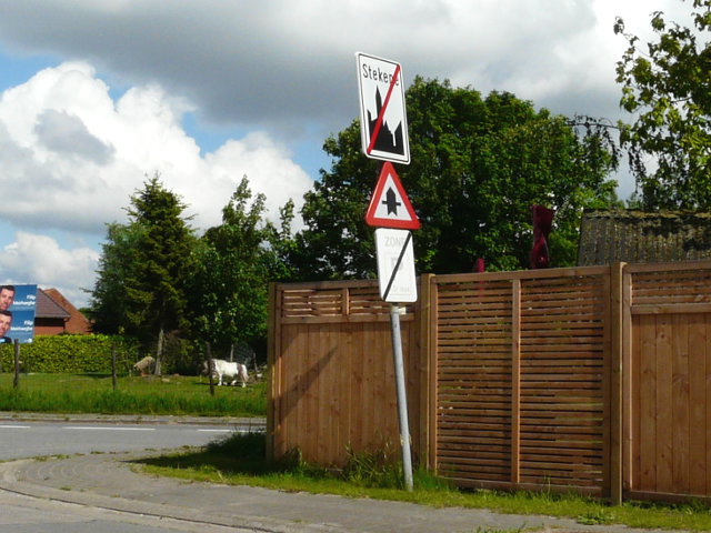 P1060161stekene_e