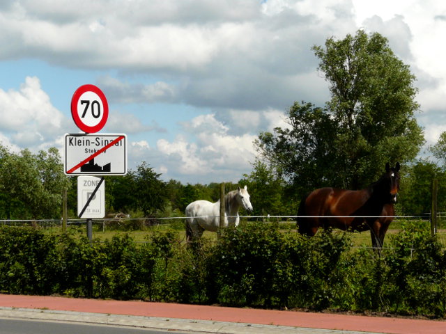 P1060164kleinsinaai_e