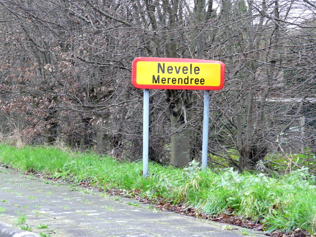 P1210220merendree_g