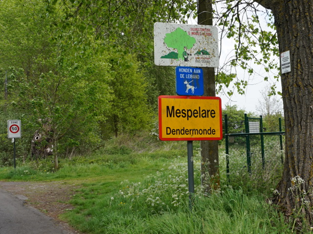 DSC01579mespelare_g