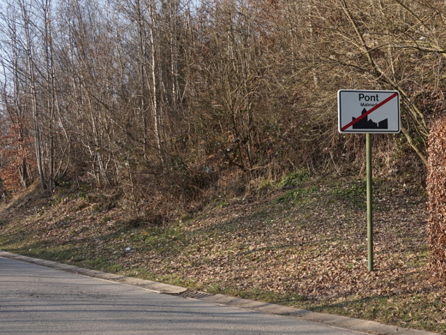 DSC06399pont_e