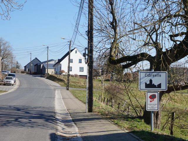 DSC06462cobreville_w